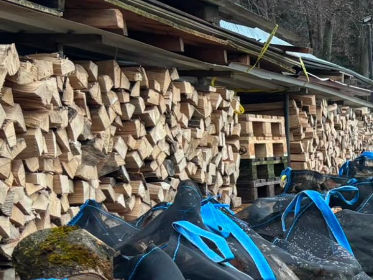 Geschichtete Scheite in mehreren Reihen am Holzlagerplatz in Türkenfeld