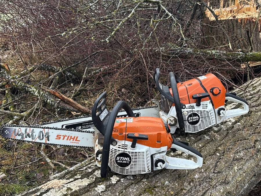 Drei Stihl-Motorsägen in verschiedenen Größen auf einem liegenden Stamm