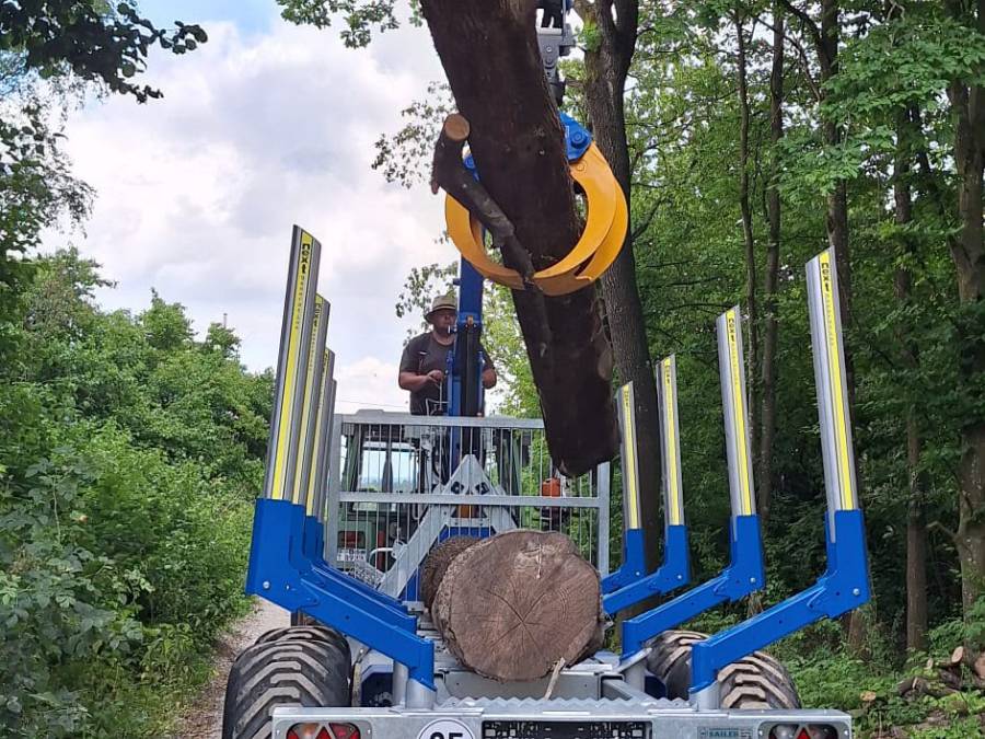Kran des Rückewagens greift Stammholz und lädt es auf – Lohnrücken im Wald bei Türkenfeld